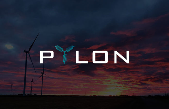 pylon-network-token