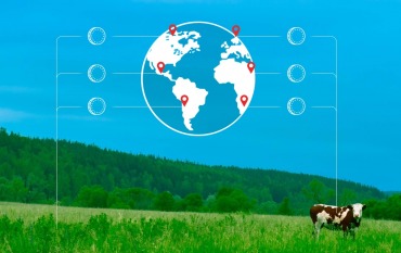 Security Tokens w rolnictwie