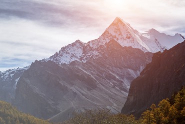 AlpaPoint łączy siły z Elevated Returns w tokenizacji nieruchomości