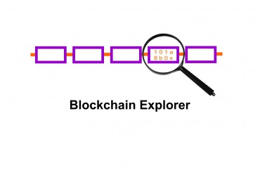 Blockchain Explorer – co to jest i jak z niego korzystać? Instrukcja, poradnik